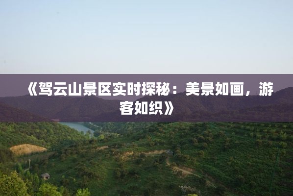 《驾云山景区实时探秘：美景如画，游客如织》