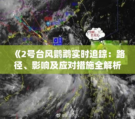 《2号台风鹦鹉实时追踪：路径、影响及应对措施全解析》