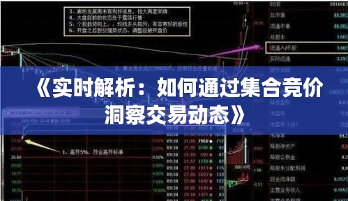 《实时解析：如何通过集合竞价洞察交易动态》