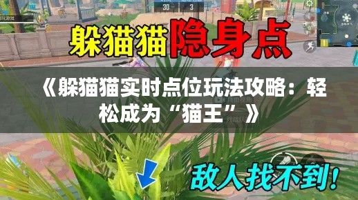《躲猫猫实时点位玩法攻略：轻松成为“猫王”》
