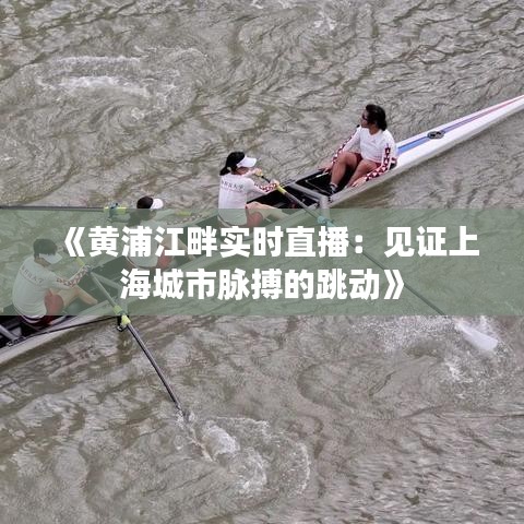 《黄浦江畔实时直播：见证上海城市脉搏的跳动》