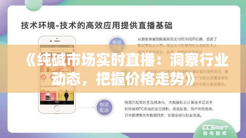 《纯碱市场实时直播：洞察行业动态，把握价格走势》