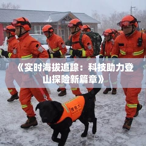 《实时海拔追踪：科技助力登山探险新篇章》
