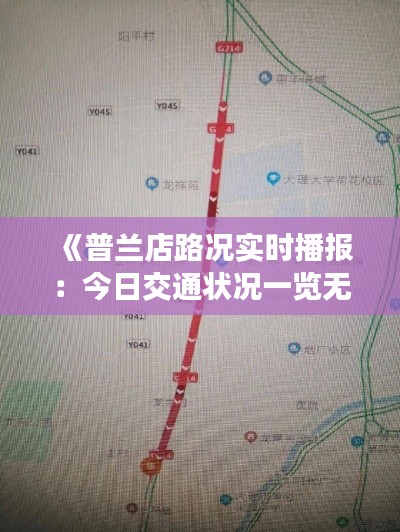 《普兰店路况实时播报：今日交通状况一览无遗》