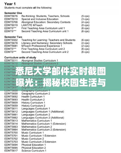 量入为出 第3页