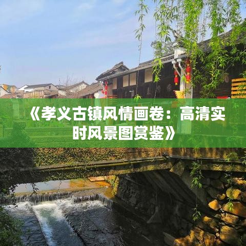 坌鸟先飞 第3页