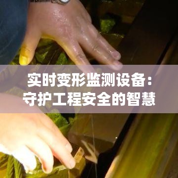 鸟语花香 第2页