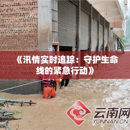 《汛情实时追踪：守护生命线的紧急行动》