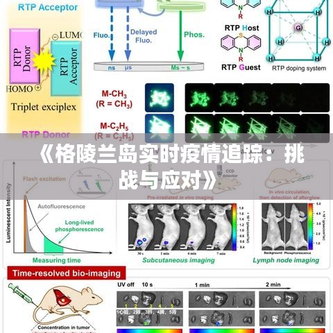 《格陵兰岛实时疫情追踪：挑战与应对》