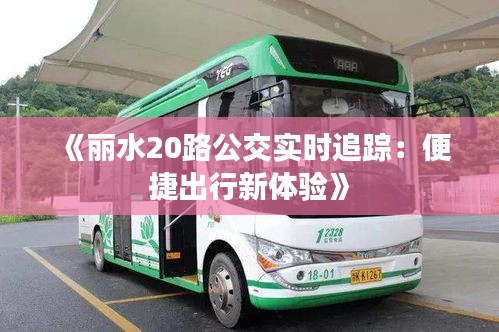 《丽水20路公交实时追踪：便捷出行新体验》
