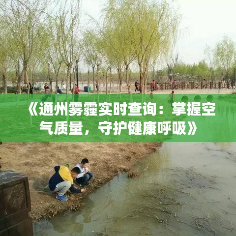 《通州雾霾实时查询：掌握空气质量，守护健康呼吸》