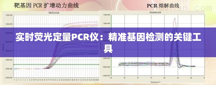 实时荧光定量PCR仪：精准基因检测的关键工具