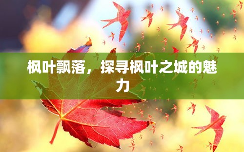 枫叶飘落，探寻枫叶之城的魅力