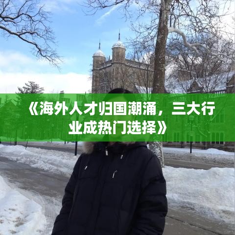 《海外人才归国潮涌，三大行业成热门选择》