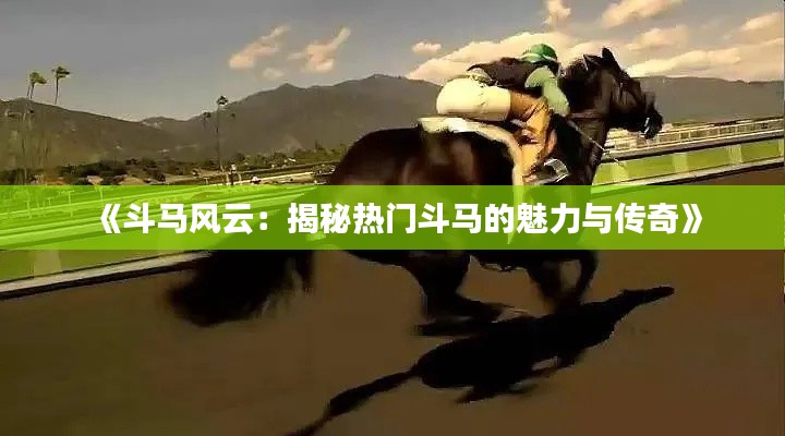 就汤下面 第2页