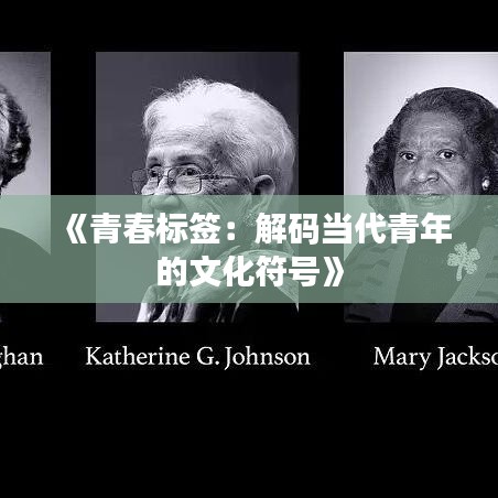《青春标签：解码当代青年的文化符号》