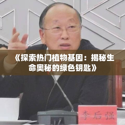 橘虞初梦 第2页