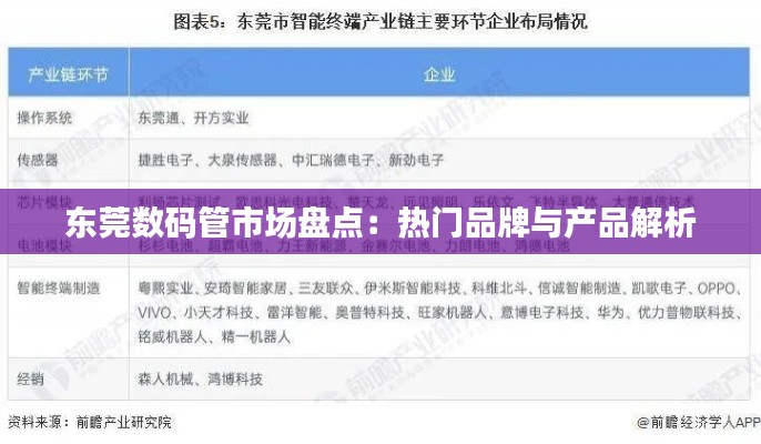 东莞数码管市场盘点：热门品牌与产品解析