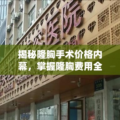 惊弦之鸟 第2页