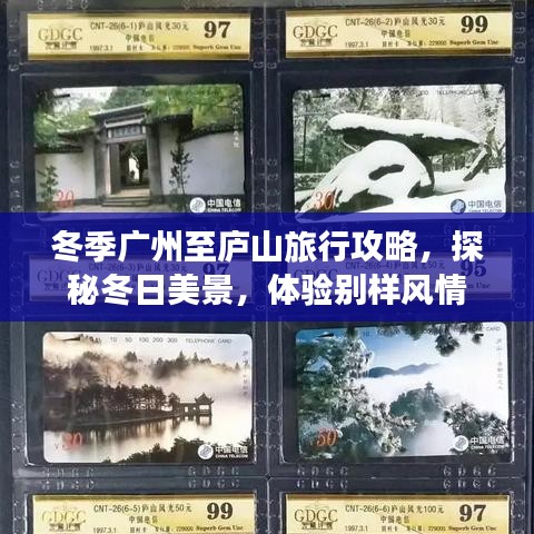 洵属可贵 第2页