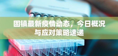 固镇最新疫情动态，今日概况与应对策略速递
