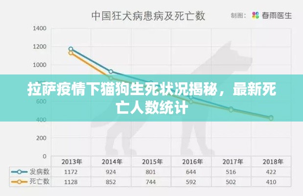 拉萨疫情下猫狗生死状况揭秘，最新死亡人数统计