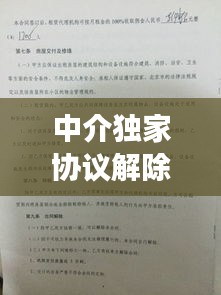 倦鸟思归 第2页