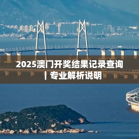 2025澳门开奖结果记录查询｜专业解析说明