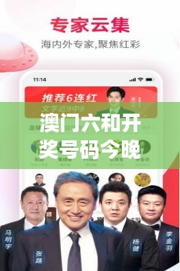 澳门六和开奖号码今晚：热点数字带你迎新机遇