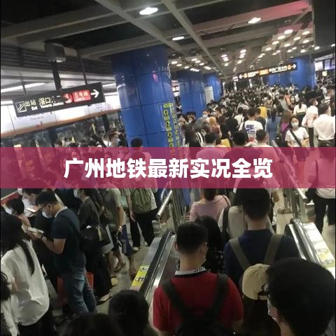 草率从事 第2页