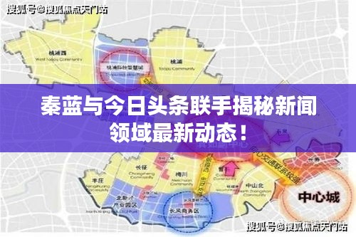 秦蓝与今日头条联手揭秘新闻领域最新动态！