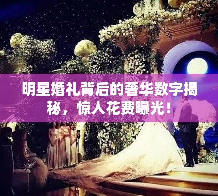 比张比李 第2页