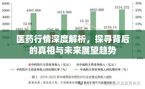 医药行情深度解析，探寻背后的真相与未来展望趋势