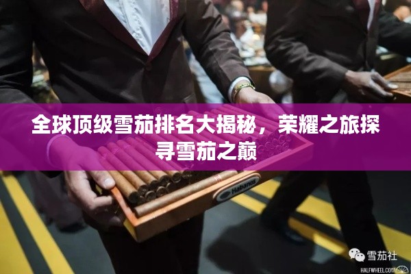 全球顶级雪茄排名大揭秘，荣耀之旅探寻雪茄之巅