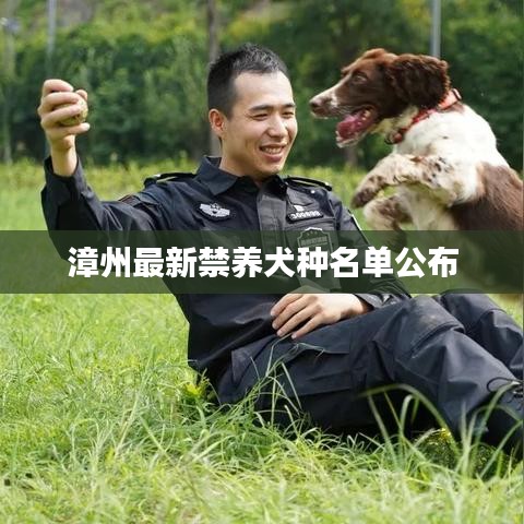 漳州最新禁养犬种名单公布