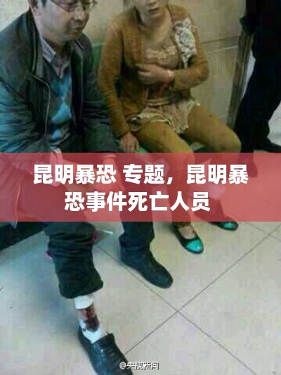 昆明暴恐 专题，昆明暴恐事件死亡人员 
