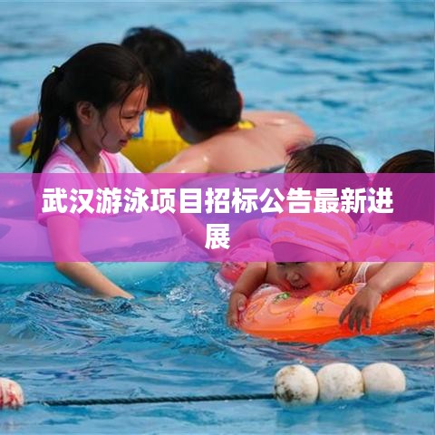 武汉游泳项目招标公告最新进展