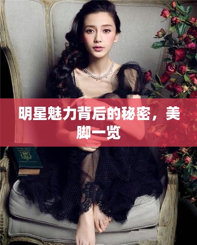 明星魅力背后的秘密，美脚一览