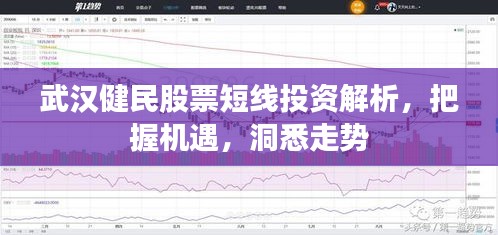 武汉健民股票短线投资解析，把握机遇，洞悉走势