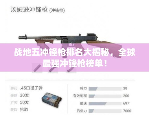 战地五冲锋枪排名大揭秘，全球最强冲锋枪榜单！