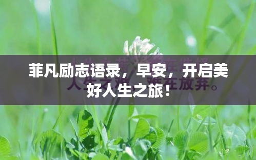 菲凡励志语录，早安，开启美好人生之旅！