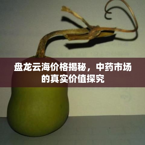 盘龙云海价格揭秘，中药市场的真实价值探究