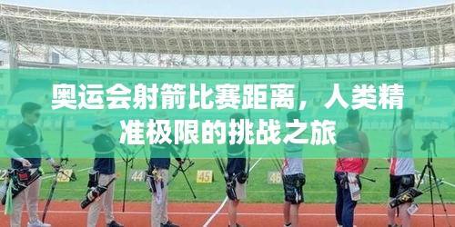 奥运会射箭比赛距离，人类精准极限的挑战之旅
