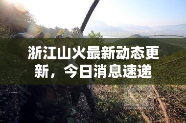 浙江山火最新动态更新，今日消息速递