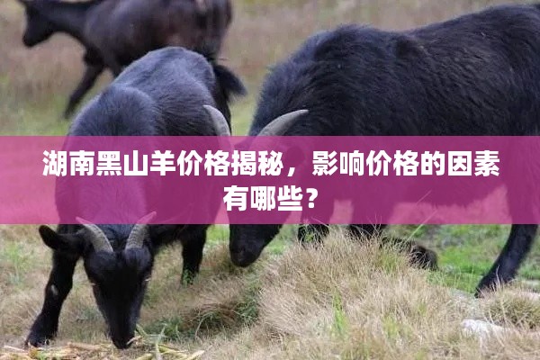 湖南黑山羊价格揭秘，影响价格的因素有哪些？