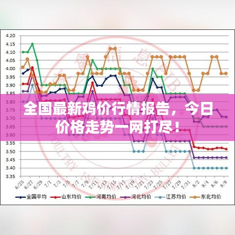 全国最新鸡价行情报告，今日价格走势一网打尽！