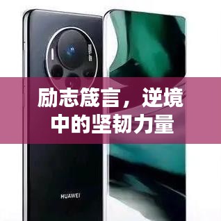 励志箴言，逆境中的坚韧力量