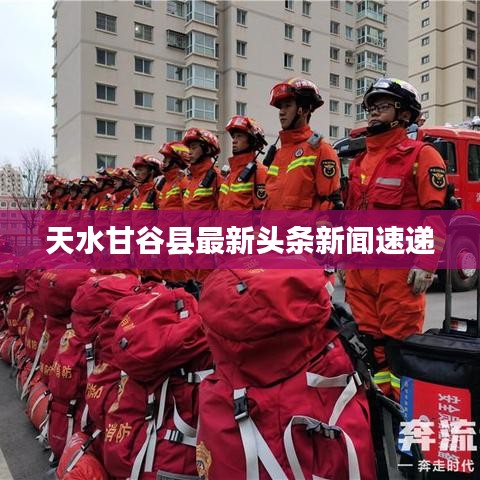 天水甘谷县最新头条新闻速递