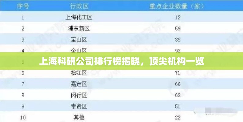 上海科研公司排行榜揭晓，顶尖机构一览