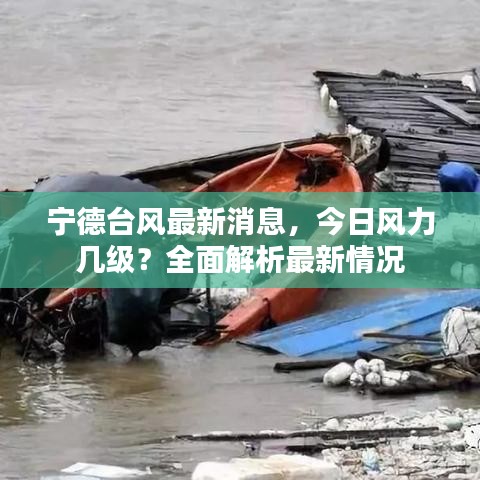 宁德台风最新消息，今日风力几级？全面解析最新情况